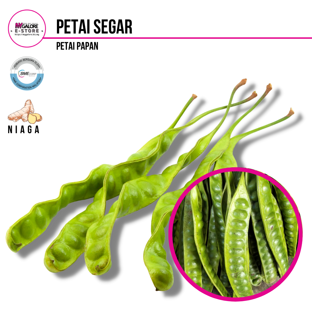 Petai Segar | Halia Niaga - MyGalore